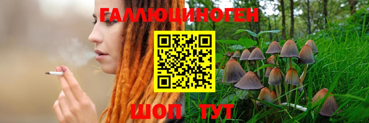 Галлюциногенные грибы Psilocybe  Вход с VPN  Лысьва 
